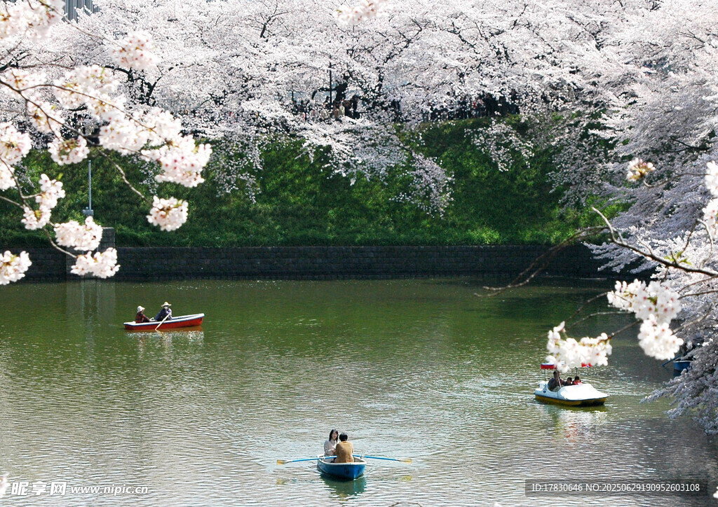 日本旅游照片