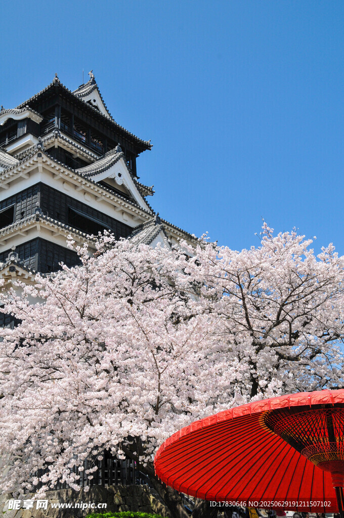 日本旅游照片