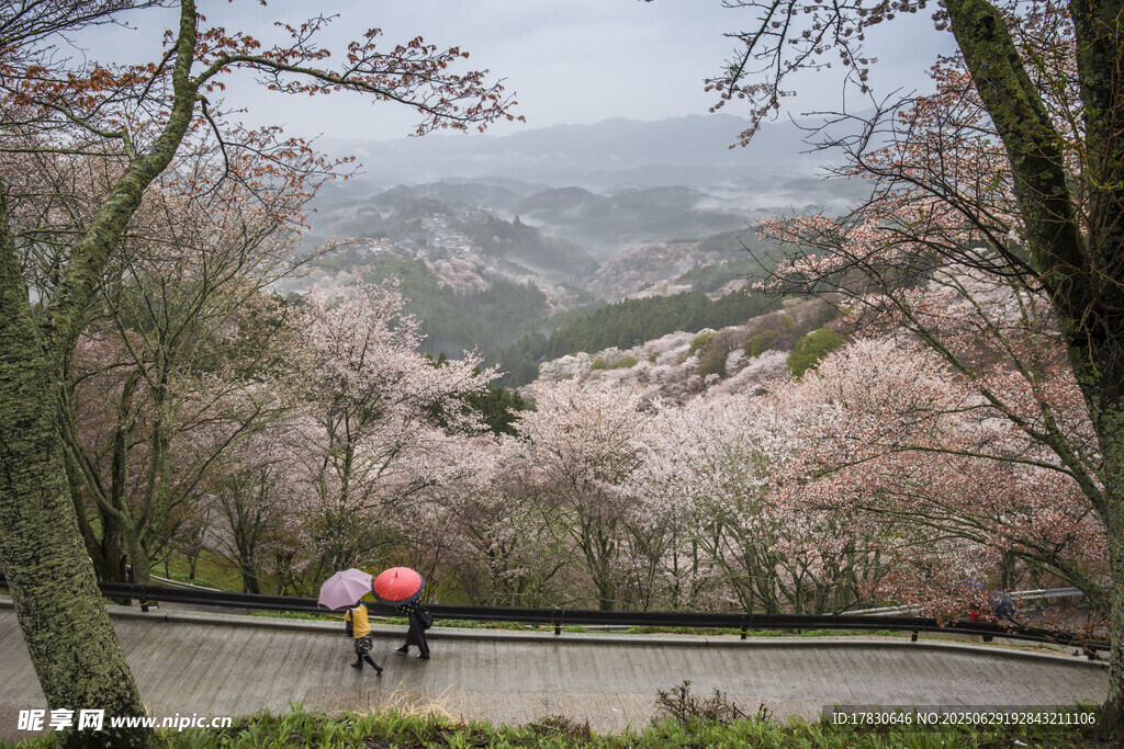 日本旅游照片