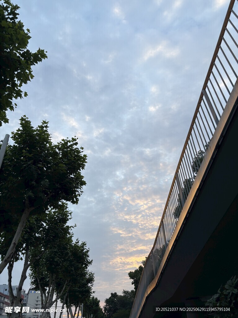 黄昏下的树木与高架桥