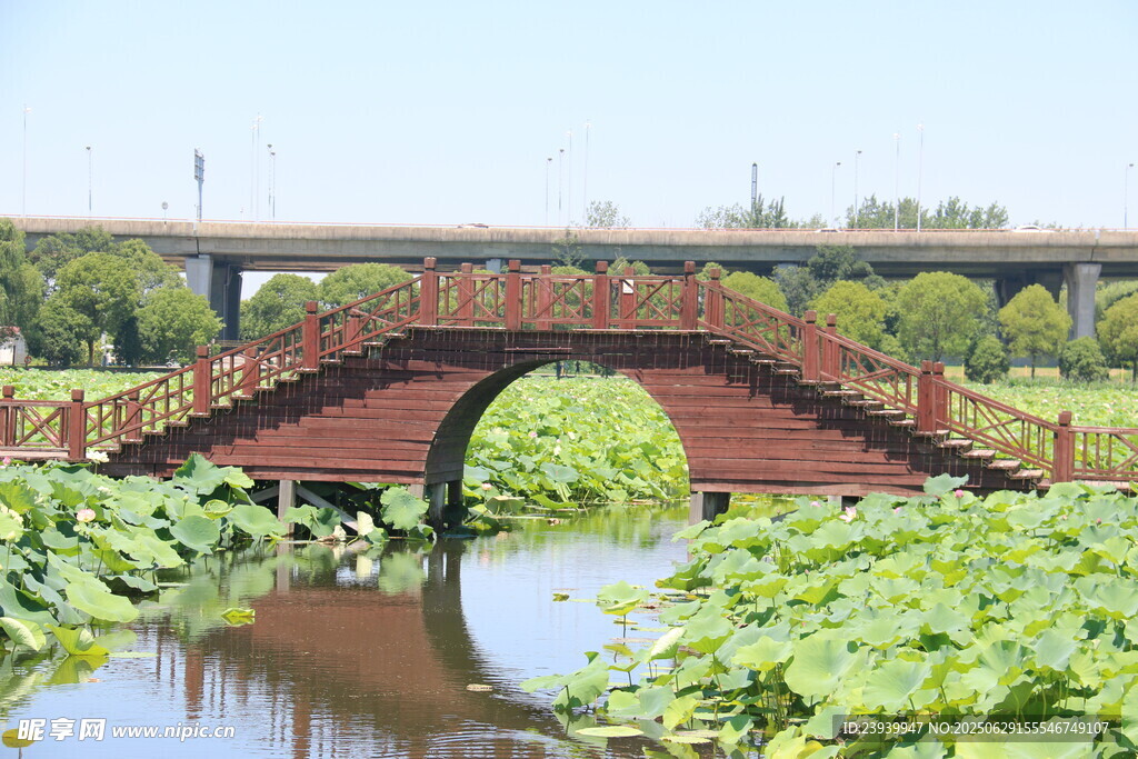 古桥横跨绿水间