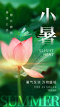 小暑海报 