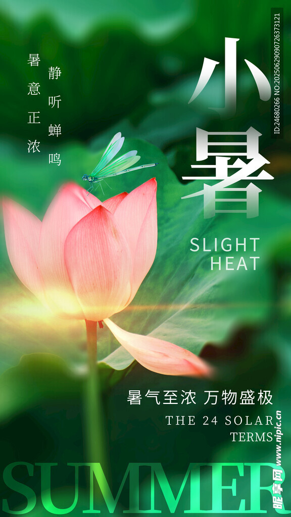 小暑海报 