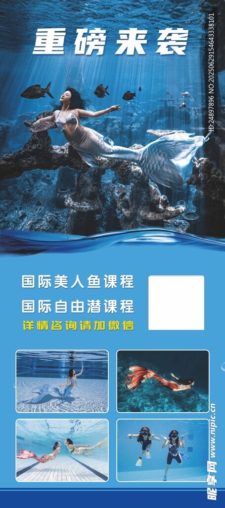 游泳展架  美人鱼