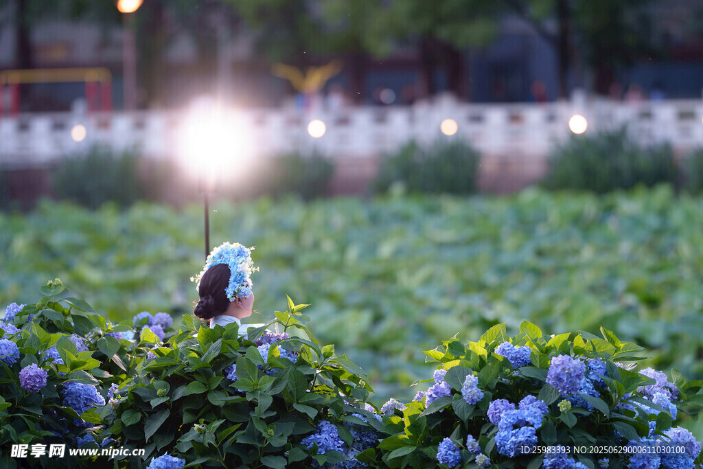 花丛游客