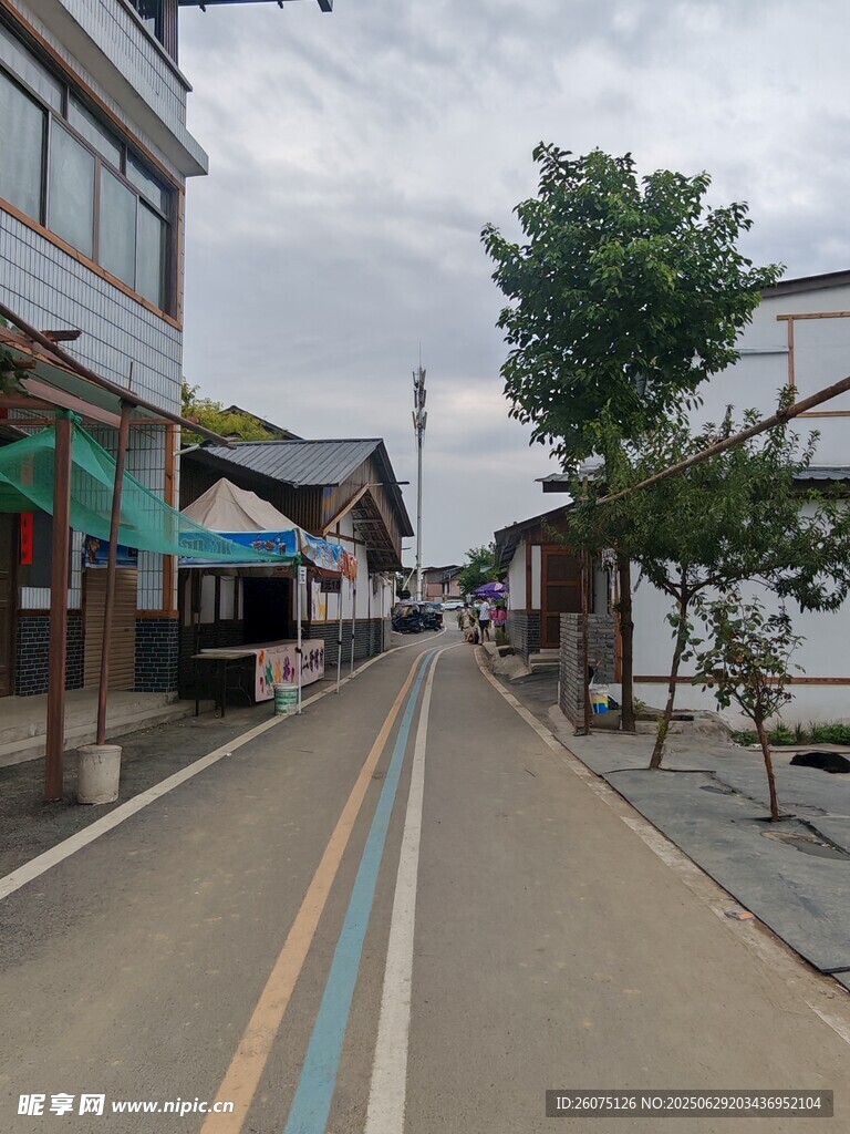 宁静的乡村式街道景象