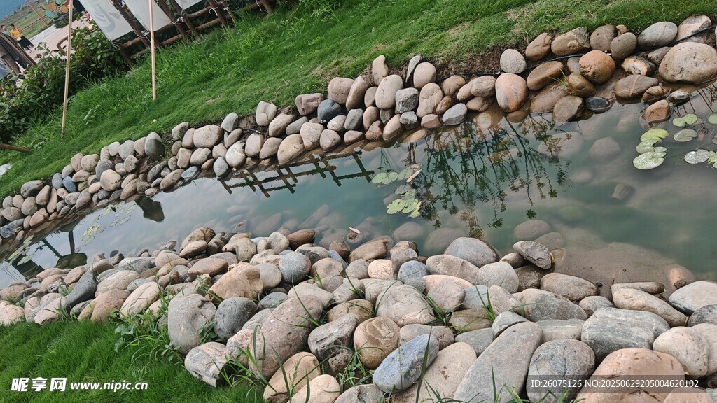 石砌池塘边的自然景致