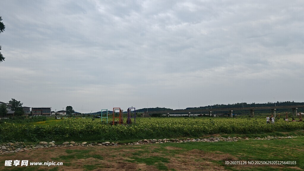 阴天田野风光