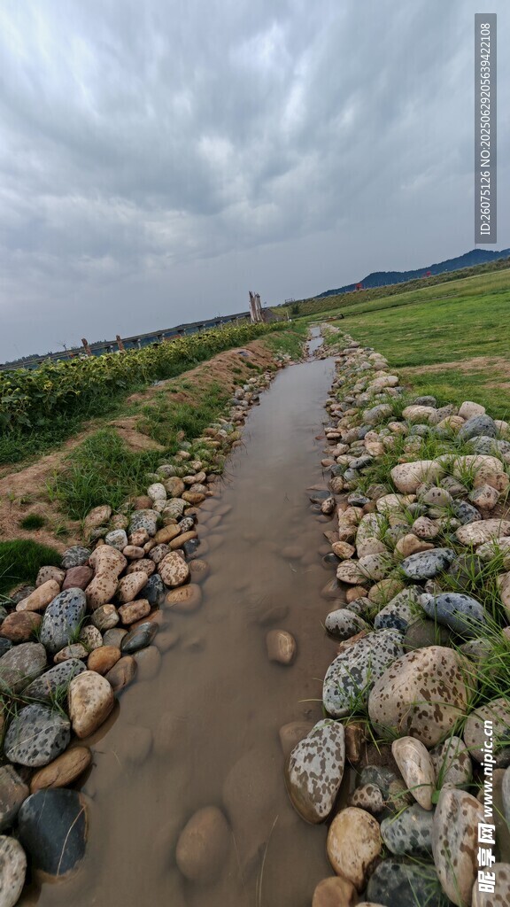 雨中石径
