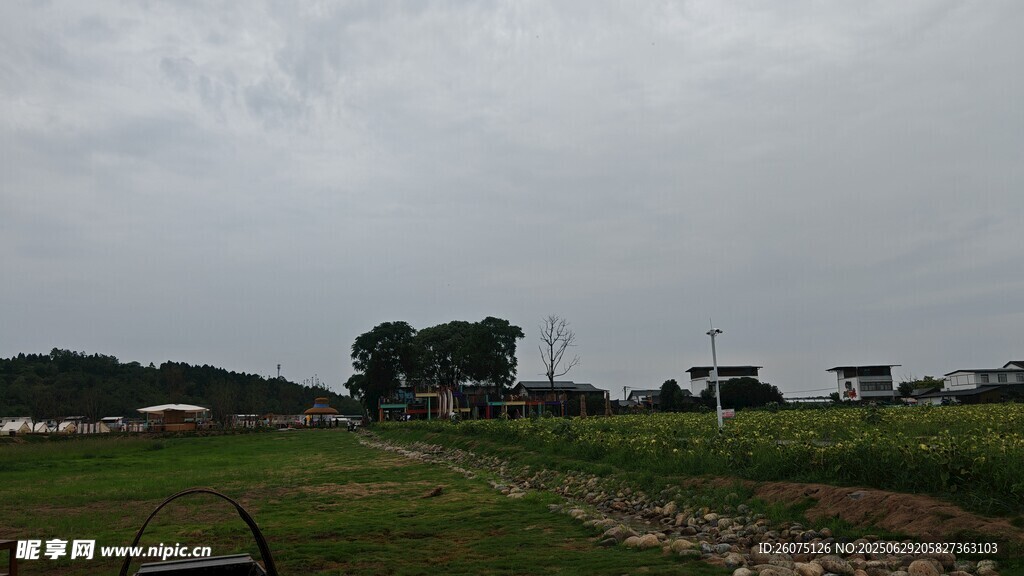 阴天乡村田野景象