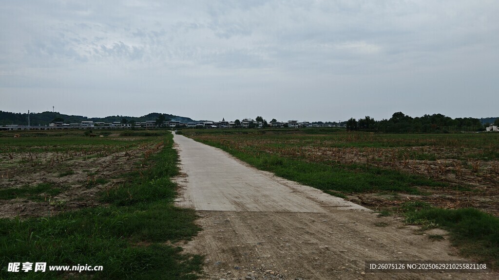 乡间土路广袤田野风光