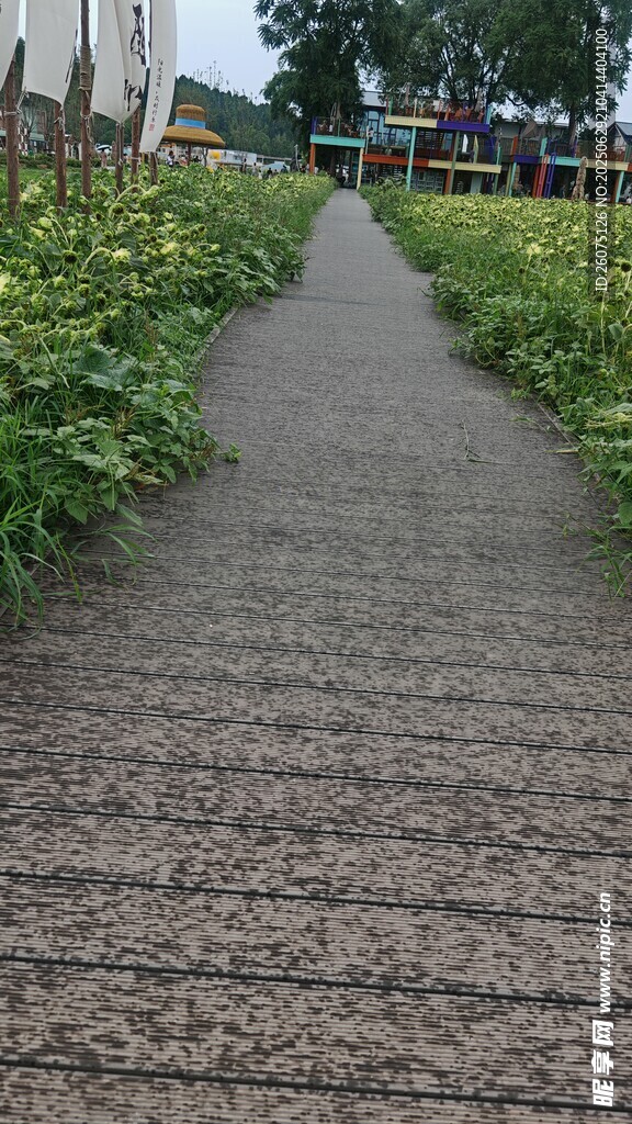 田野木板小径