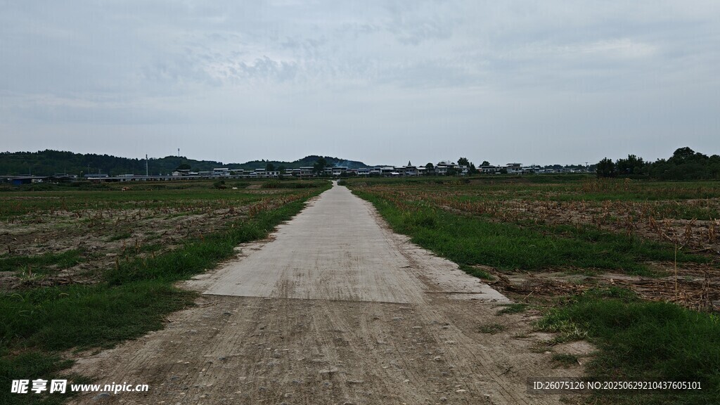 乡间土路延伸向远方