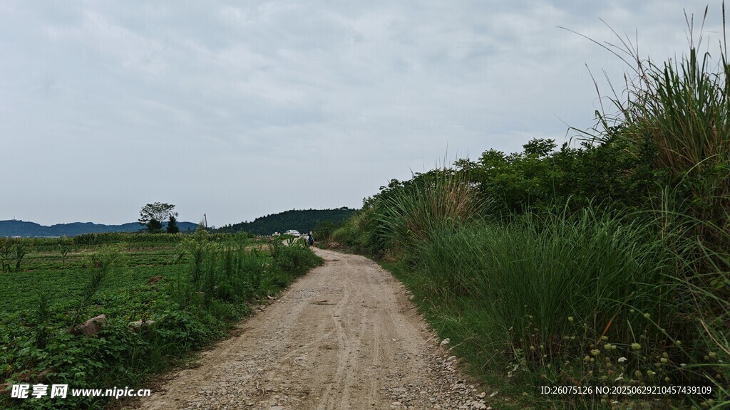 乡间小路