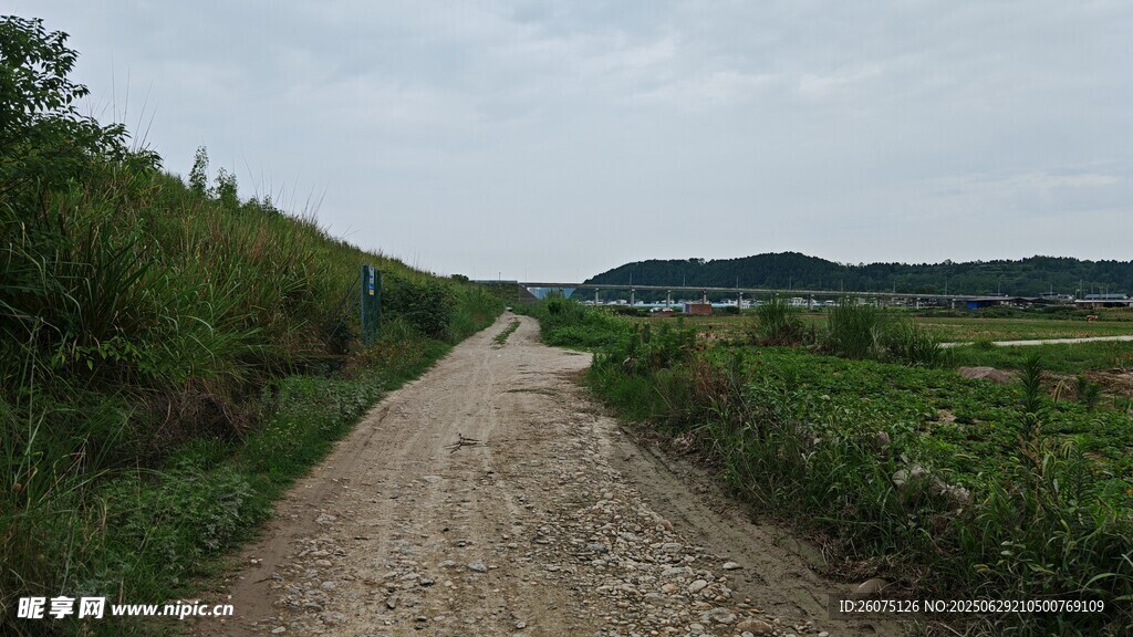 乡间土路