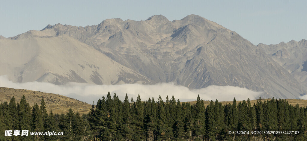 山峦森林美景
