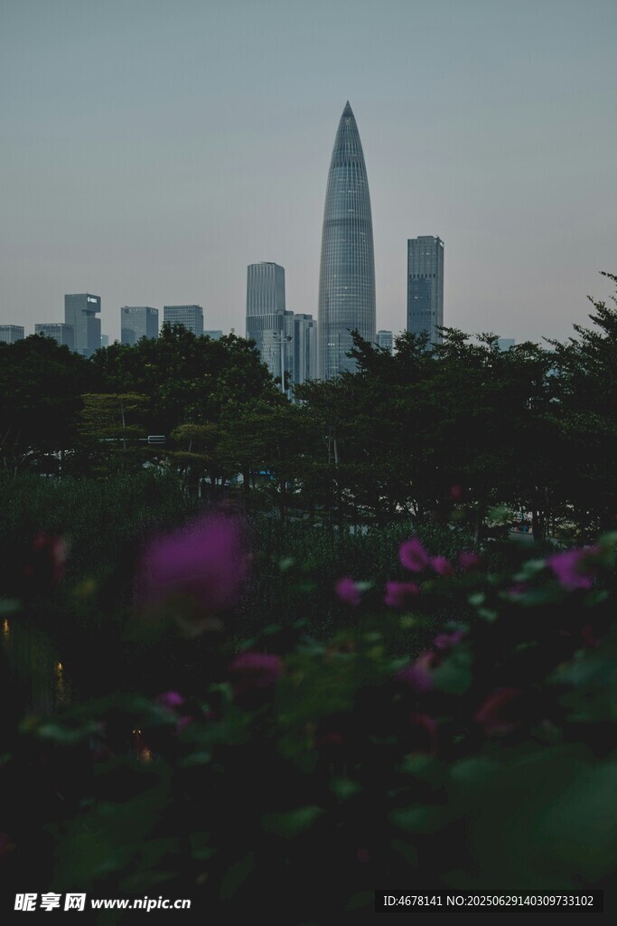 城市天际线与繁花景观