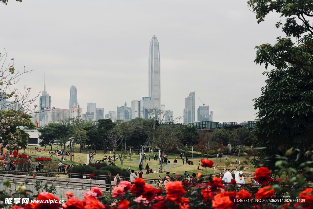 城市花海中的摩天大楼
