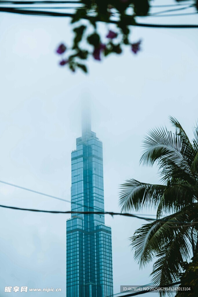 摩天大楼与棕榈树景观