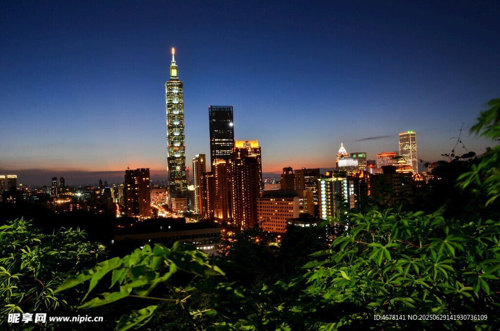 城市夜景中的高楼与绿植