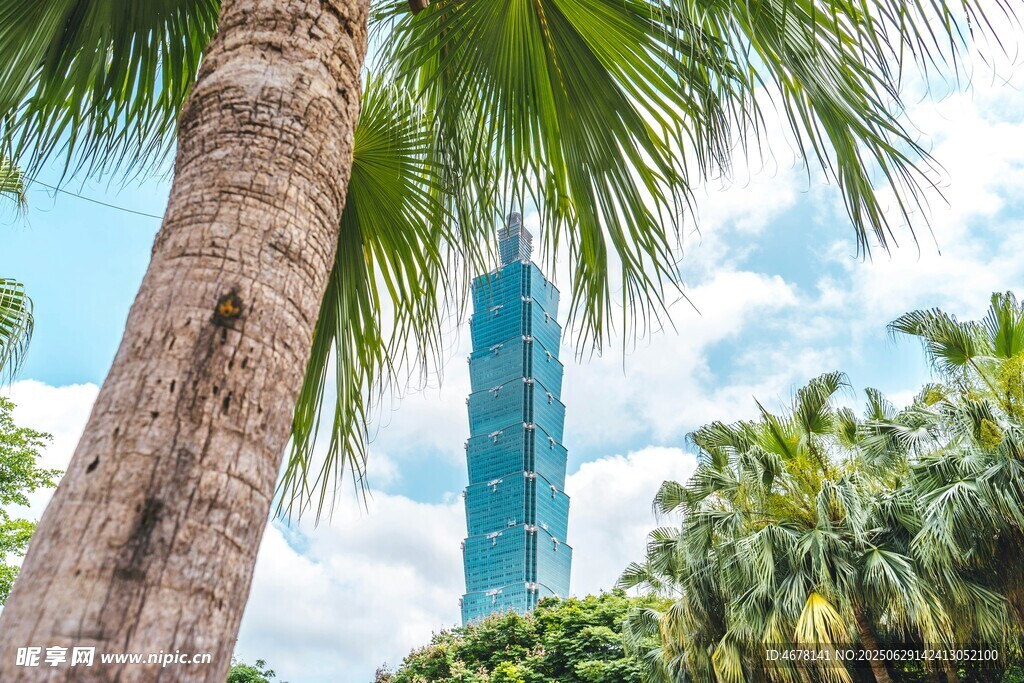 棕榈树间的摩天大楼