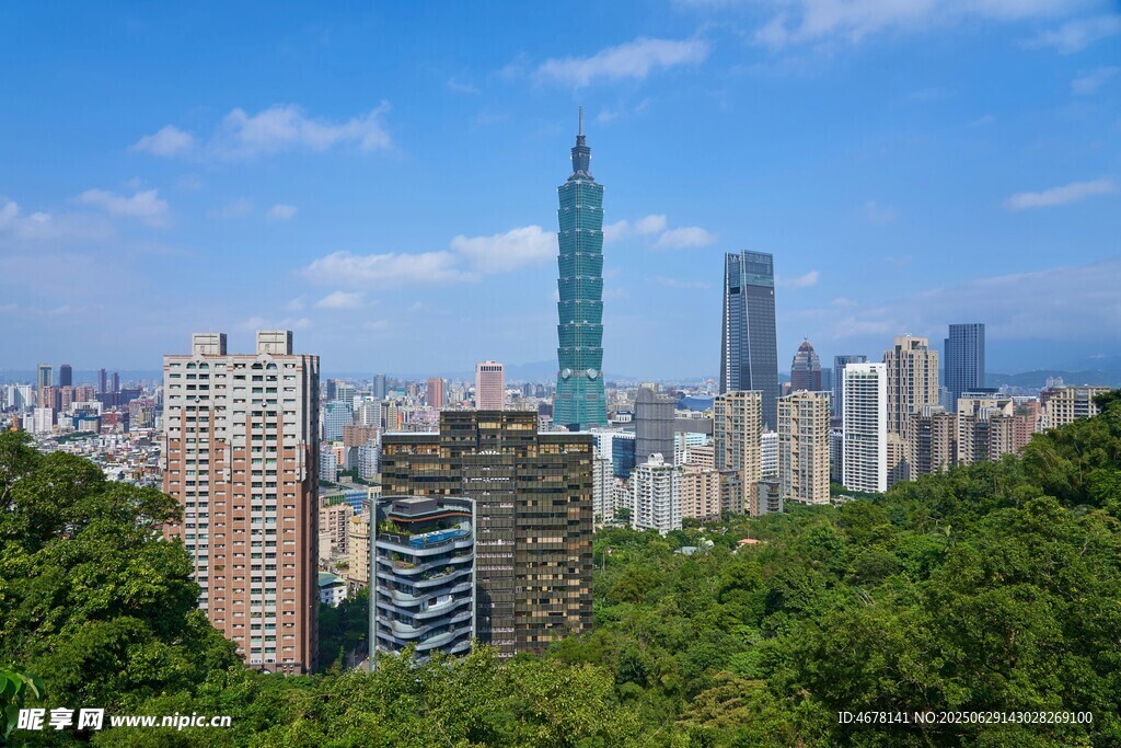 城市森林景观高楼与绿树