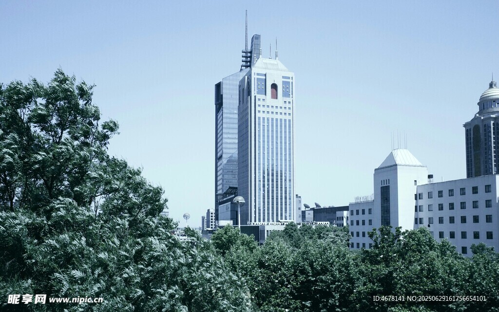 城市天际线与绿树景观