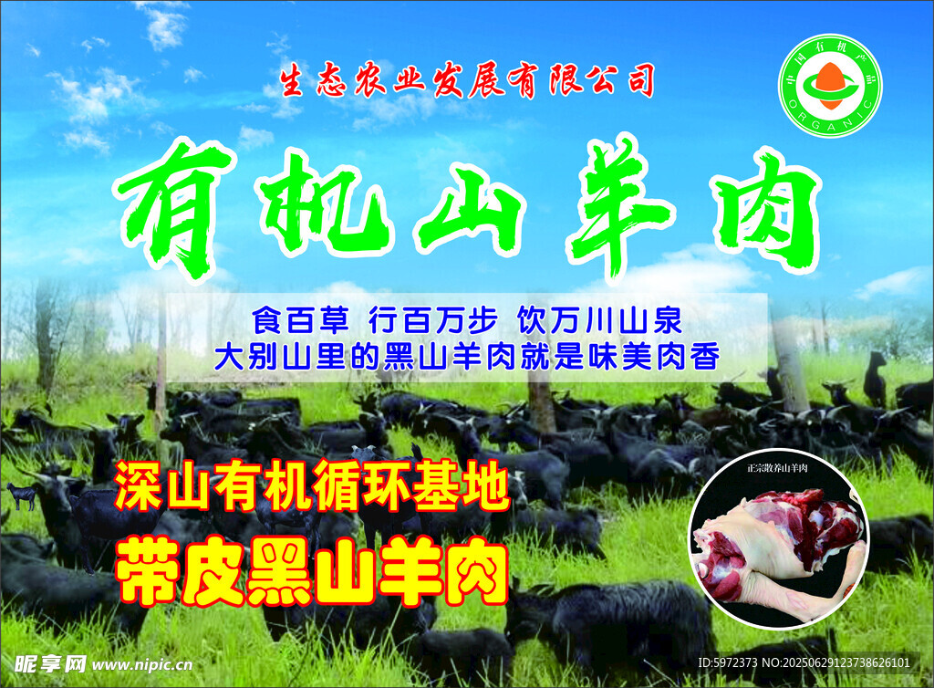 有机山羊肉宣传海报