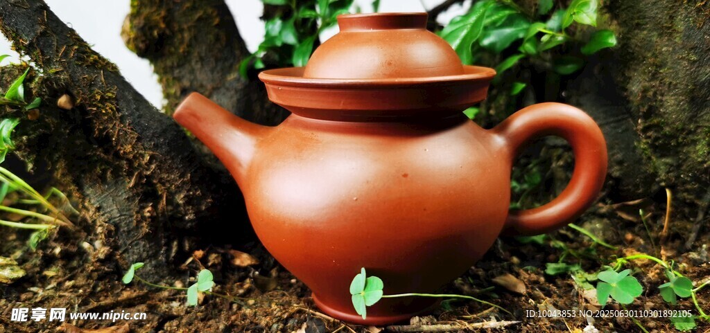 陶茶壶