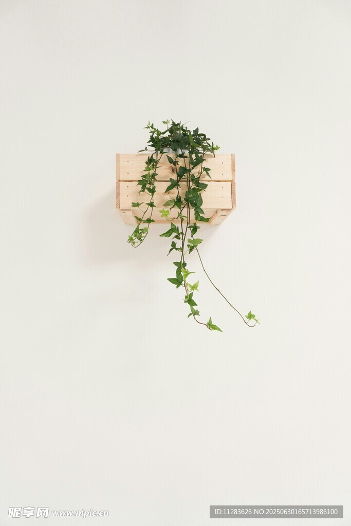 墙上绿植装饰架