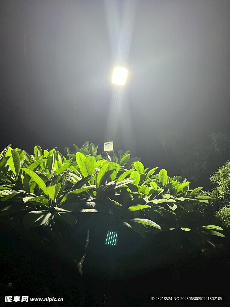 路灯