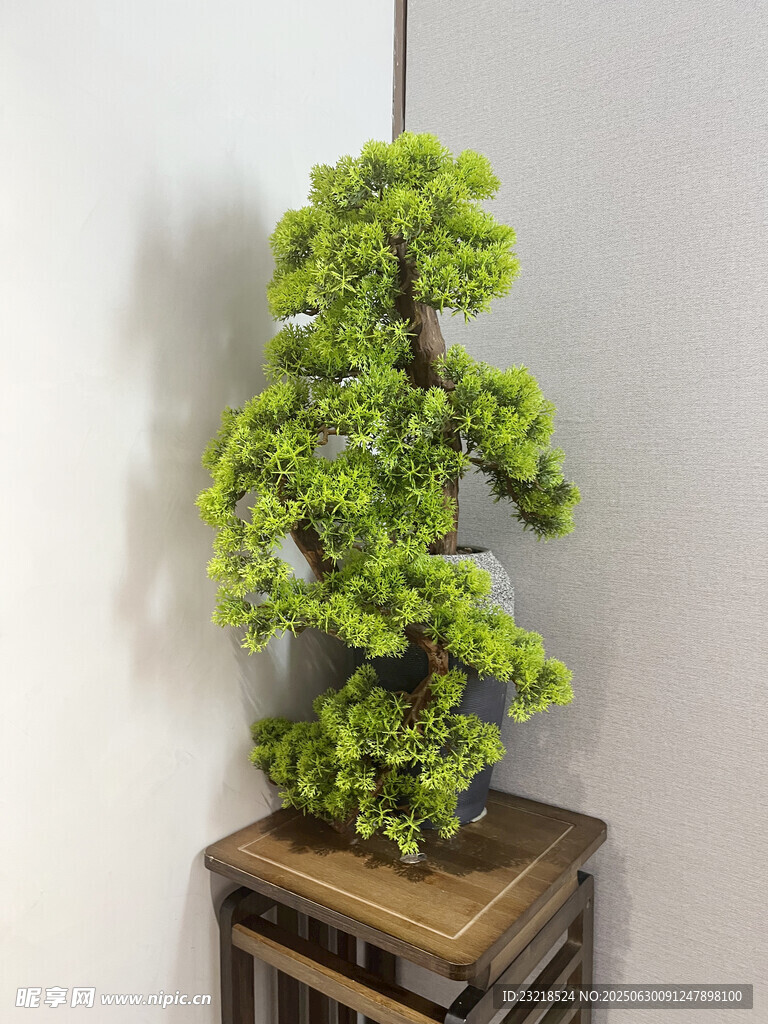 迎客松