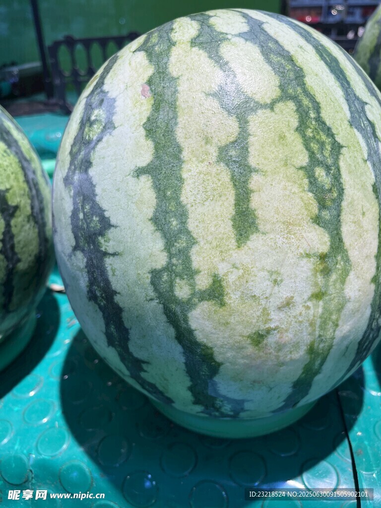 大西瓜