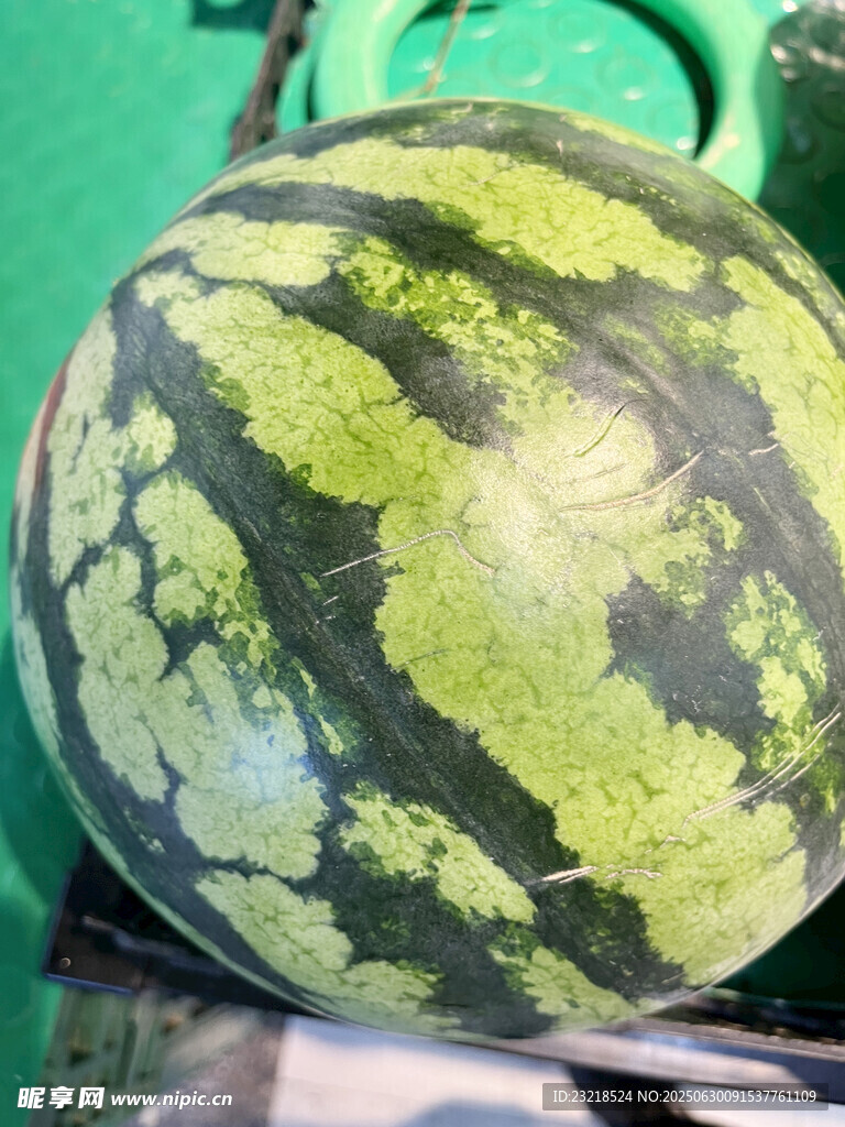 西瓜