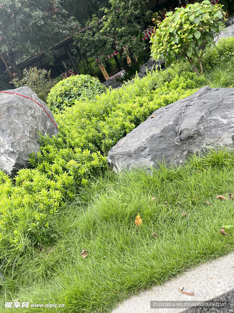 绿植景观