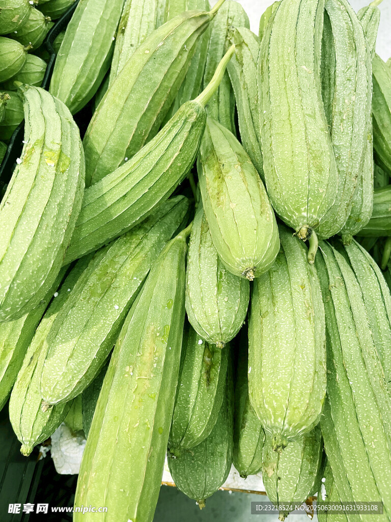 丝瓜