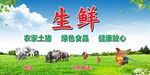 生鲜土猪海报素材
