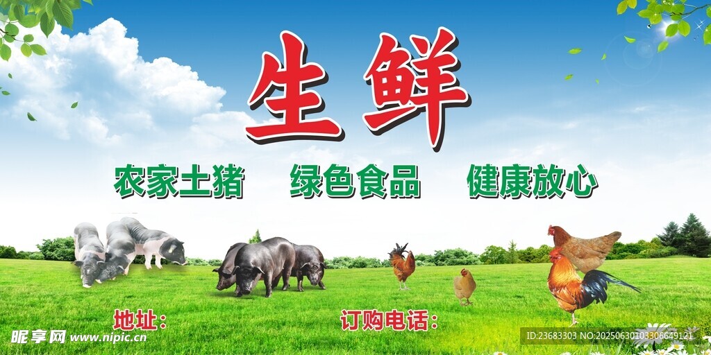 生鲜土猪海报素材
