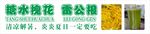 糖水槐花雷公根