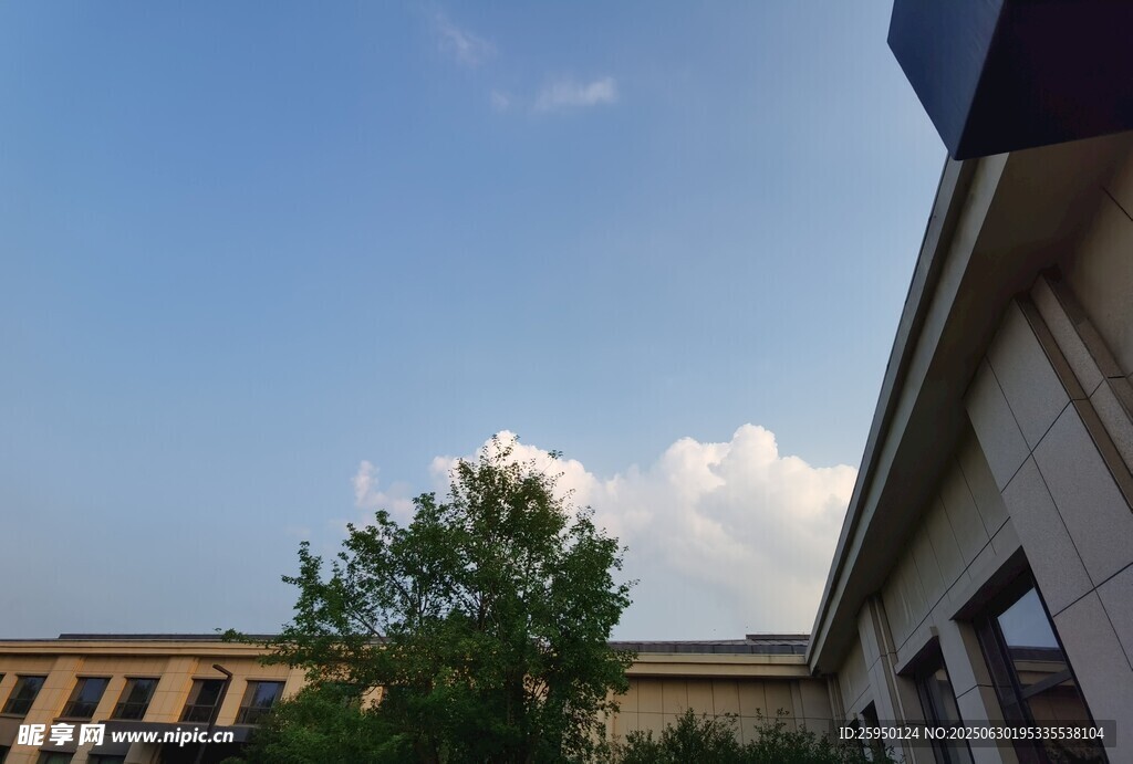 蓝天白云下的建筑与绿树