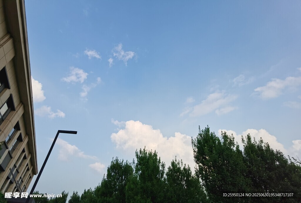蓝天绿树旁的建筑一角