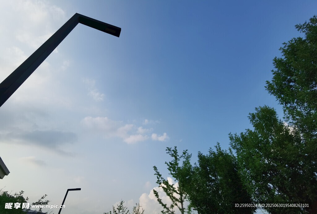 户外路灯与绿树蓝天景象