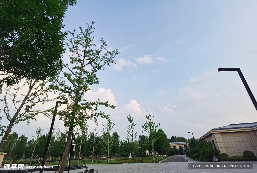户外开阔绿地景观