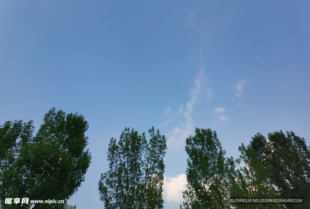 蓝天绿树风景图