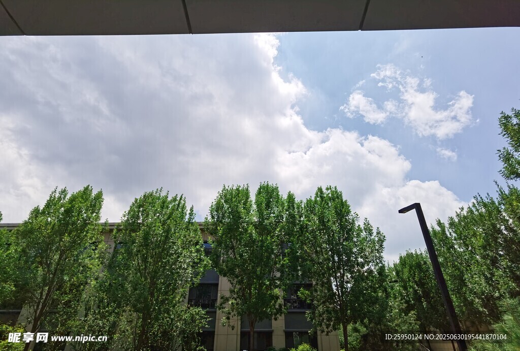 绿树蓝天的户外景致
