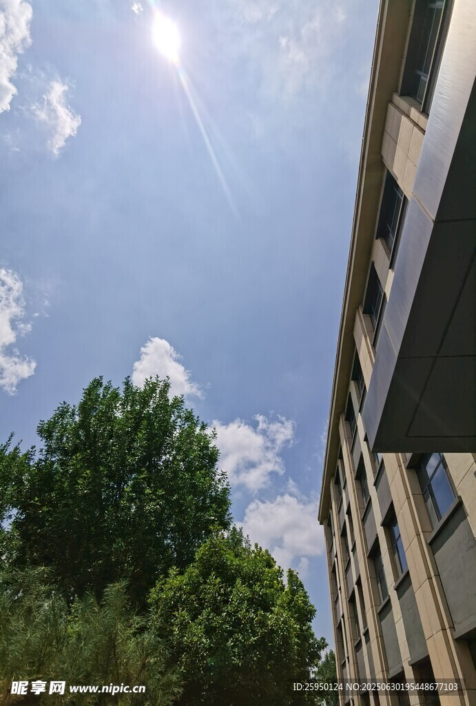 阳光下的建筑与绿树