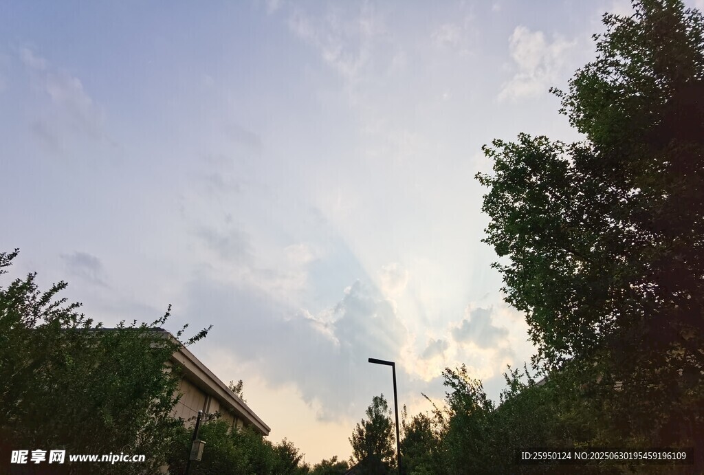 黄昏时的树梢与天空