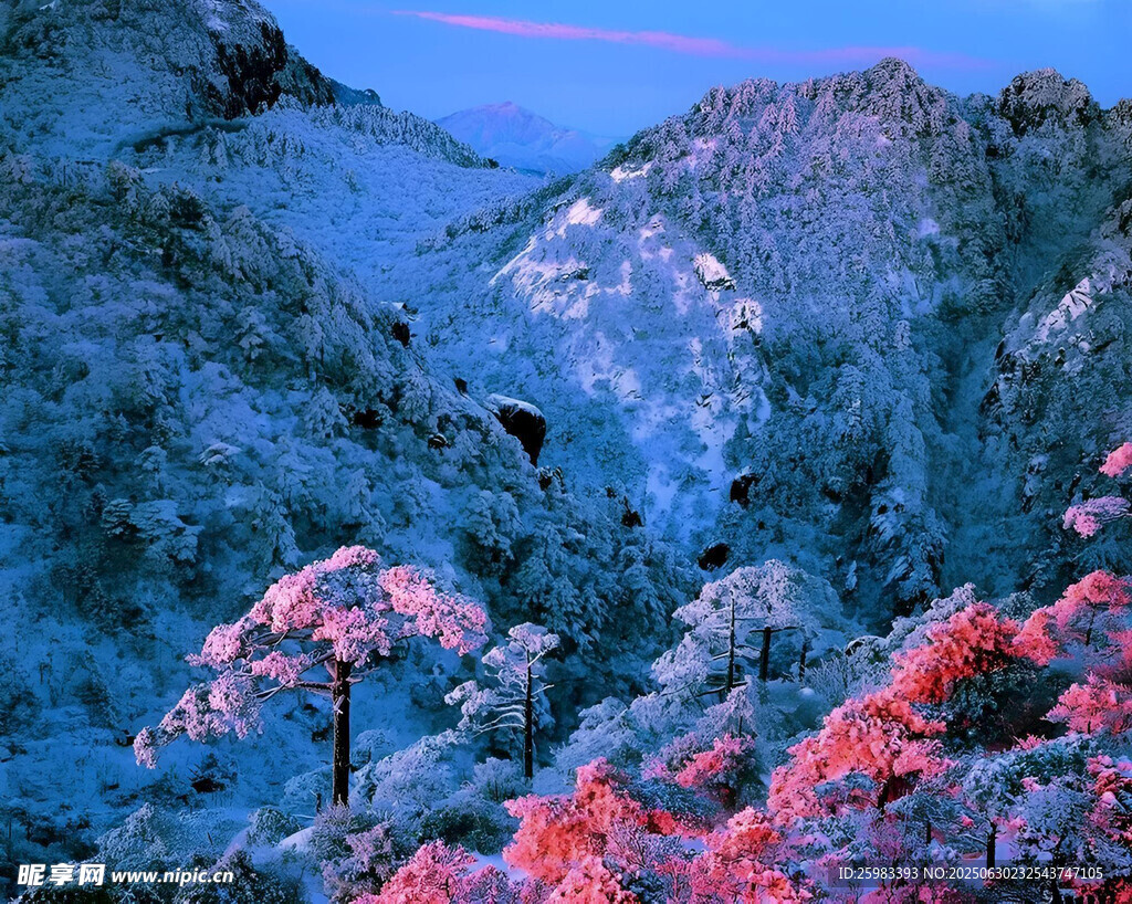 雪山森林