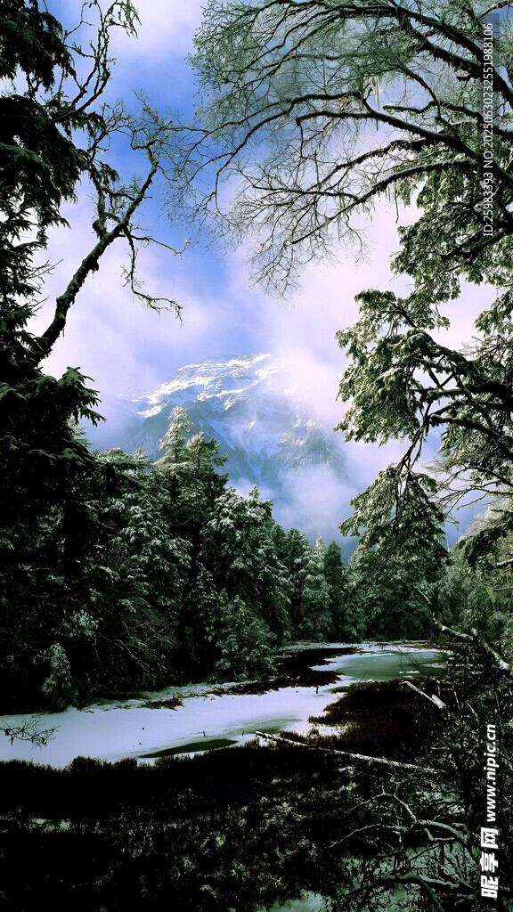 雪山森林