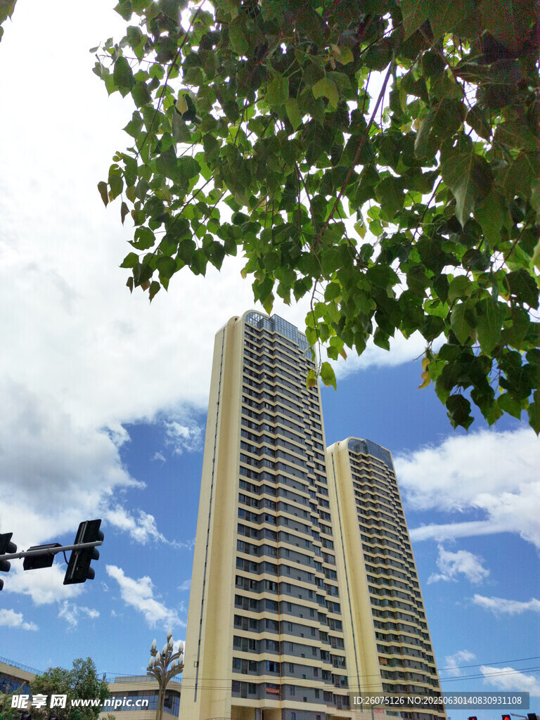 城市高楼与绿树蓝天景观